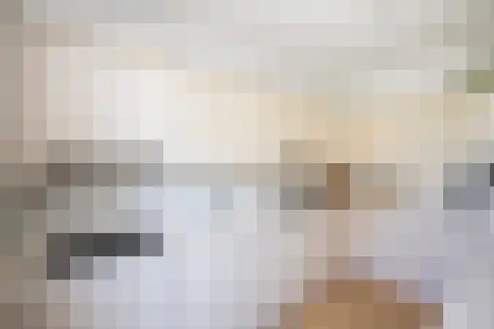 Jalinkhof 3 Dalfsen thumbnail 15