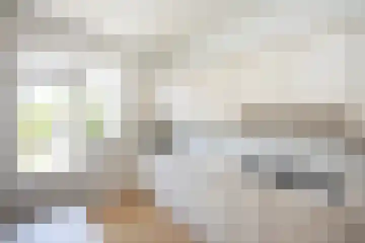 Jalinkhof 3 Dalfsen thumbnail 16