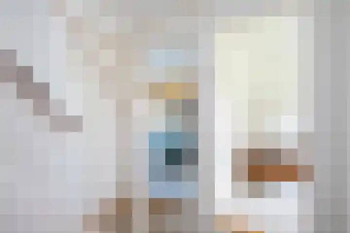 Jalinkhof 3 Dalfsen thumbnail 18