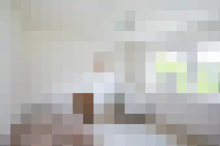 Jalinkhof 3 Dalfsen thumbnail 19