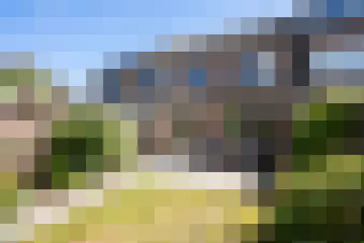 Jalinkhof 3 Dalfsen foto 2