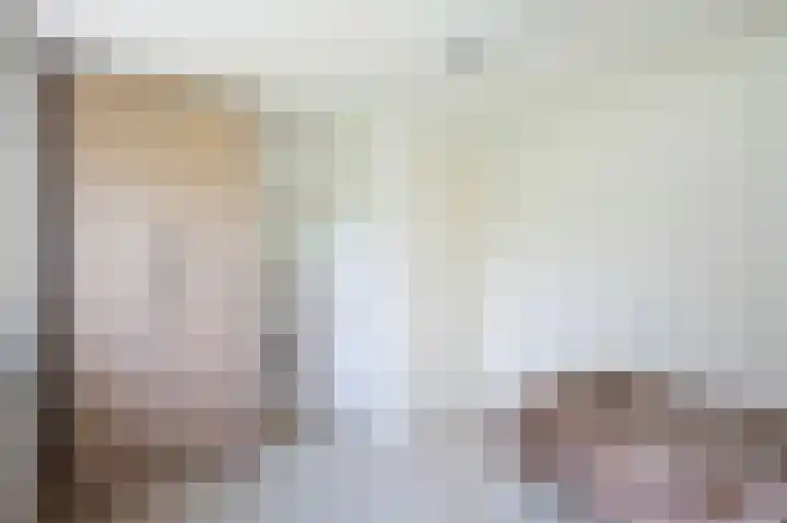 Jalinkhof 3 Dalfsen thumbnail 20