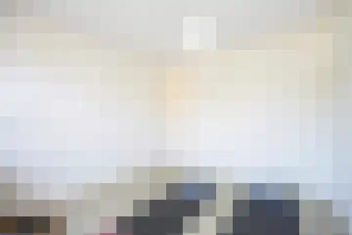 Jalinkhof 3 Dalfsen thumbnail 24