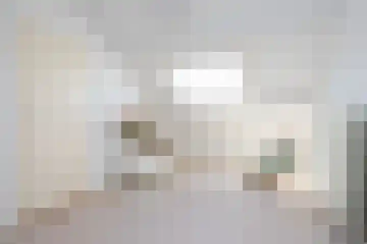 Jalinkhof 3 Dalfsen thumbnail 28