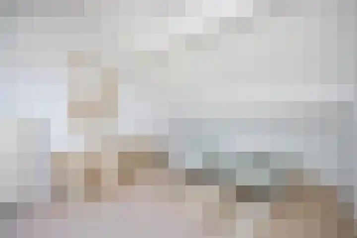 Jalinkhof 3 Dalfsen thumbnail 29