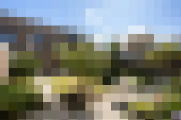 Jalinkhof 3 Dalfsen foto 3