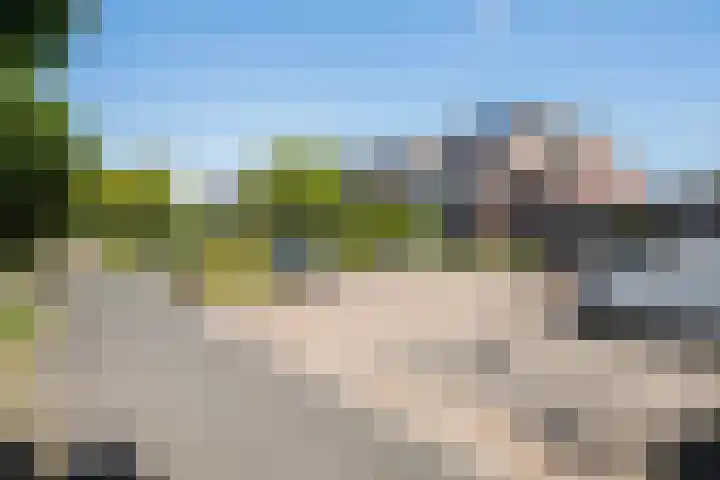 Jalinkhof 3 Dalfsen thumbnail 31