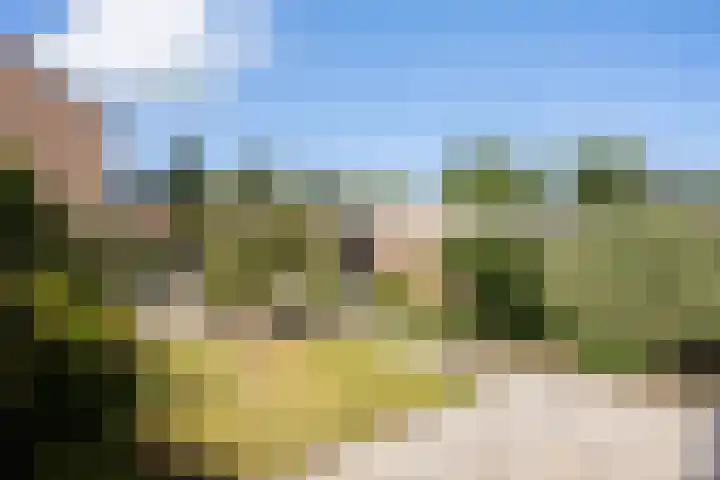 Jalinkhof 3 Dalfsen thumbnail 4