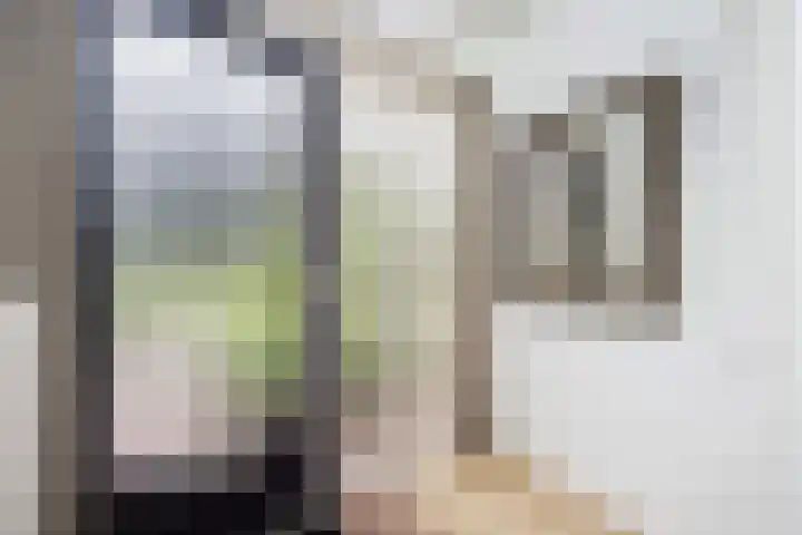 Jalinkhof 3 Dalfsen thumbnail 5