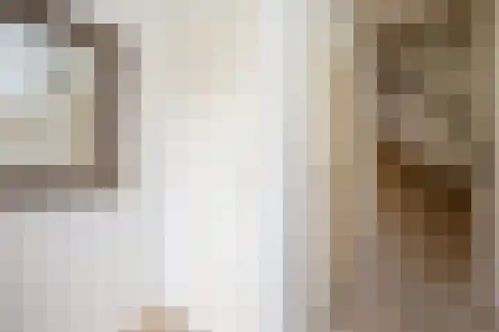 Jalinkhof 3 Dalfsen thumbnail 6