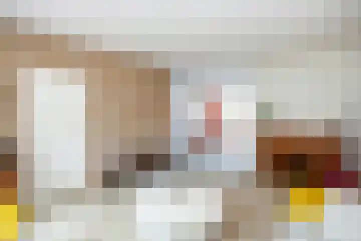 Jalinkhof 3 Dalfsen thumbnail 8