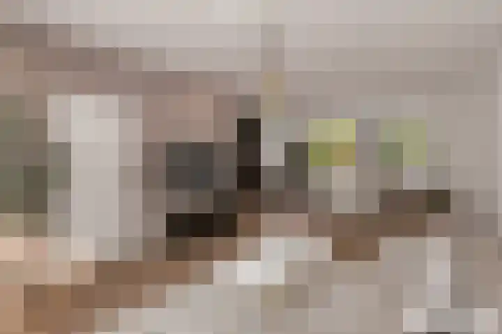 Jalinkhof 3 Dalfsen thumbnail 9