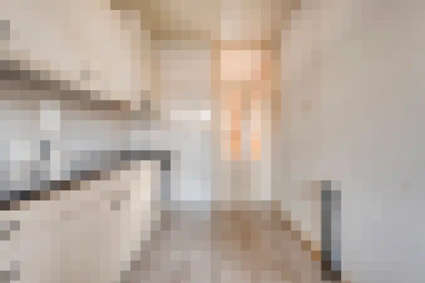 Jalinkhof 9 Dalfsen thumbnail 13