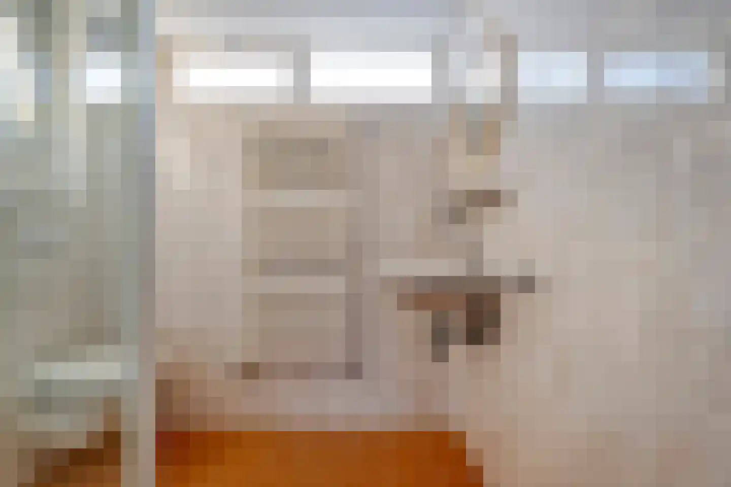 Jalinkhof 9 Dalfsen thumbnail 18
