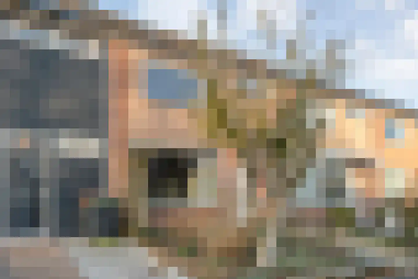 Jalinkhof 9 Dalfsen foto 2