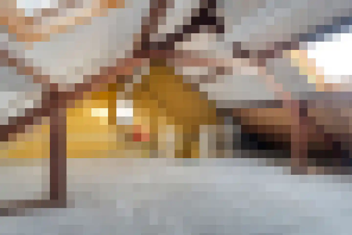 Jalinkhof 9 Dalfsen thumbnail 25