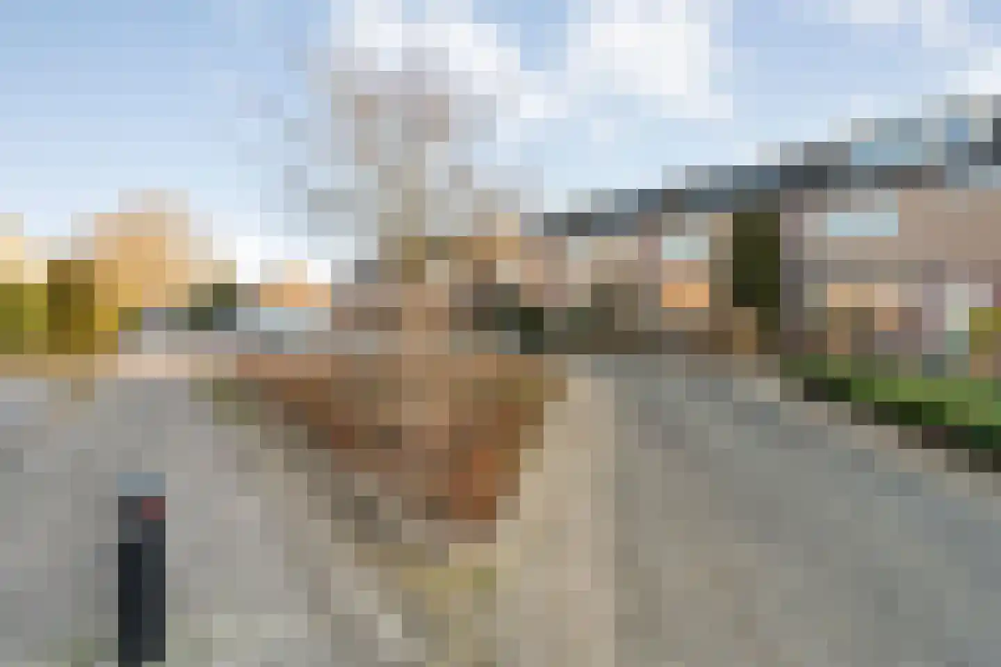 Jalinkhof 9 Dalfsen thumbnail 32