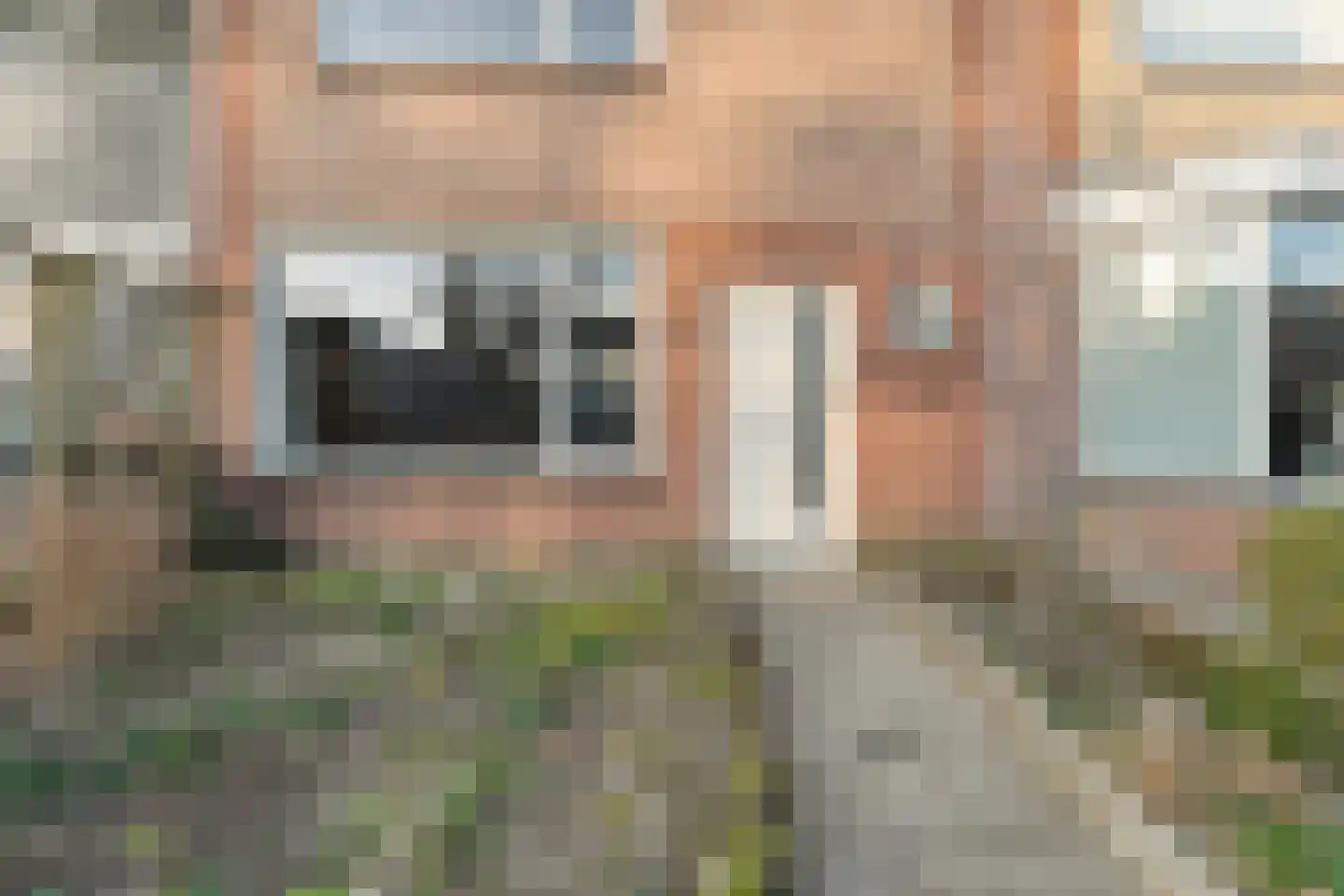 Jalinkhof 9 Dalfsen thumbnail 36