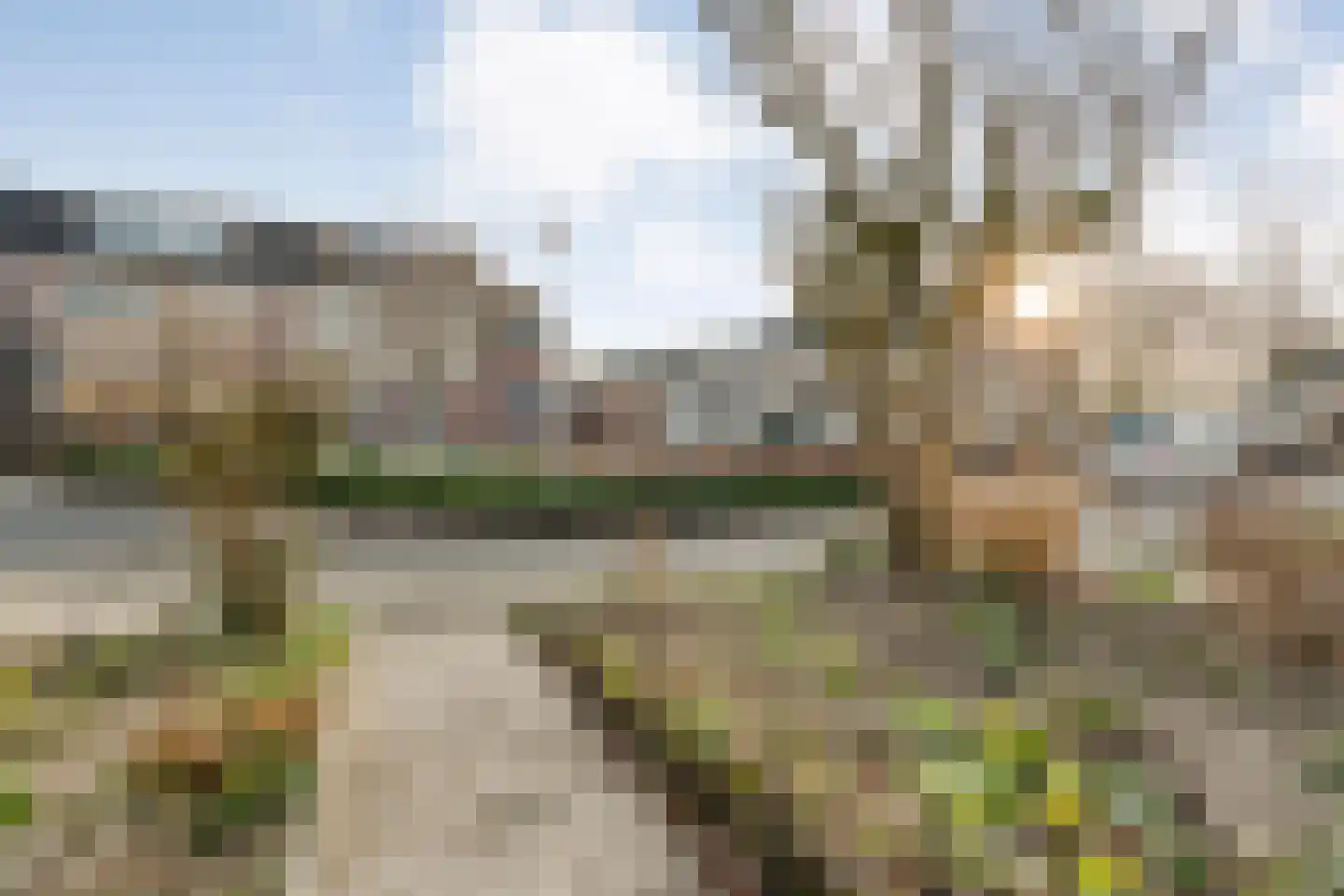 Jalinkhof 9 Dalfsen thumbnail 5