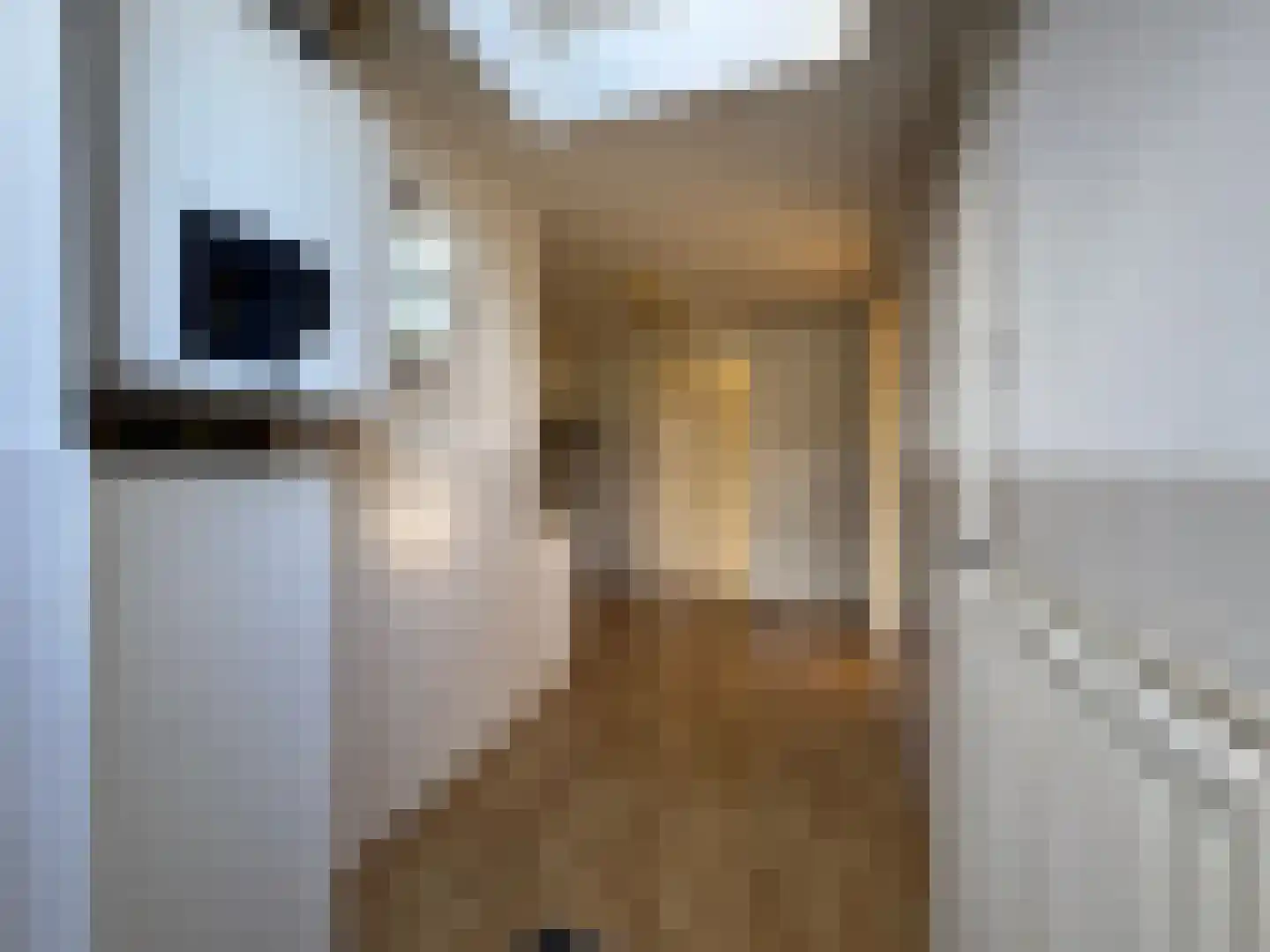 Jalinkstraat 25 Wierden thumbnail 11