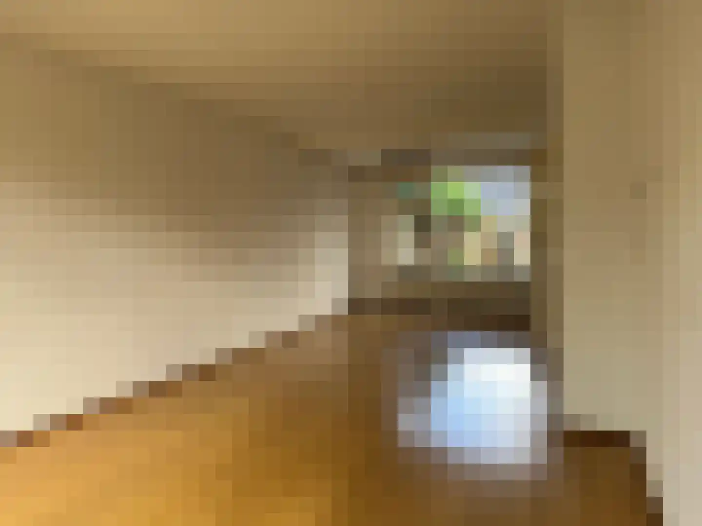 Jalinkstraat 25 Wierden thumbnail 13
