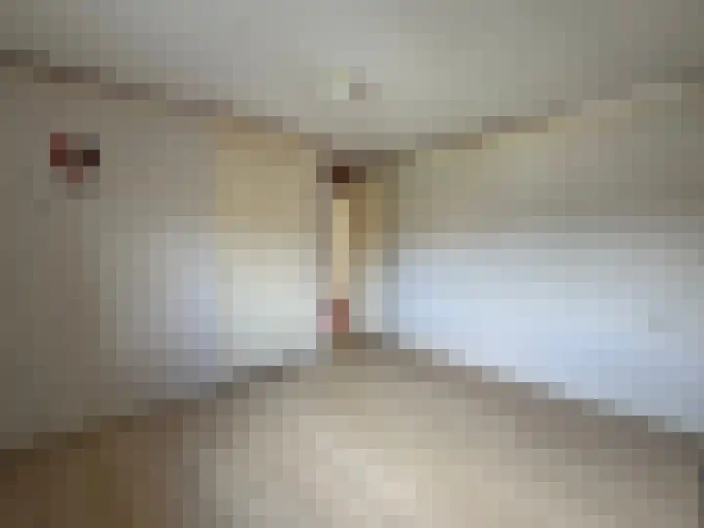 Jalinkstraat 25 Wierden thumbnail 17