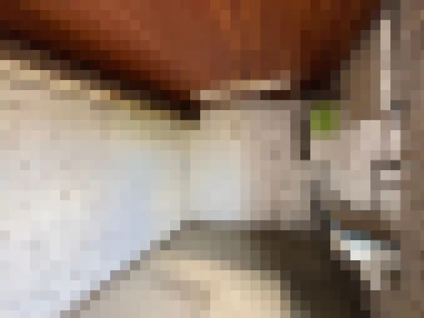 Jalinkstraat 25 Wierden thumbnail 27