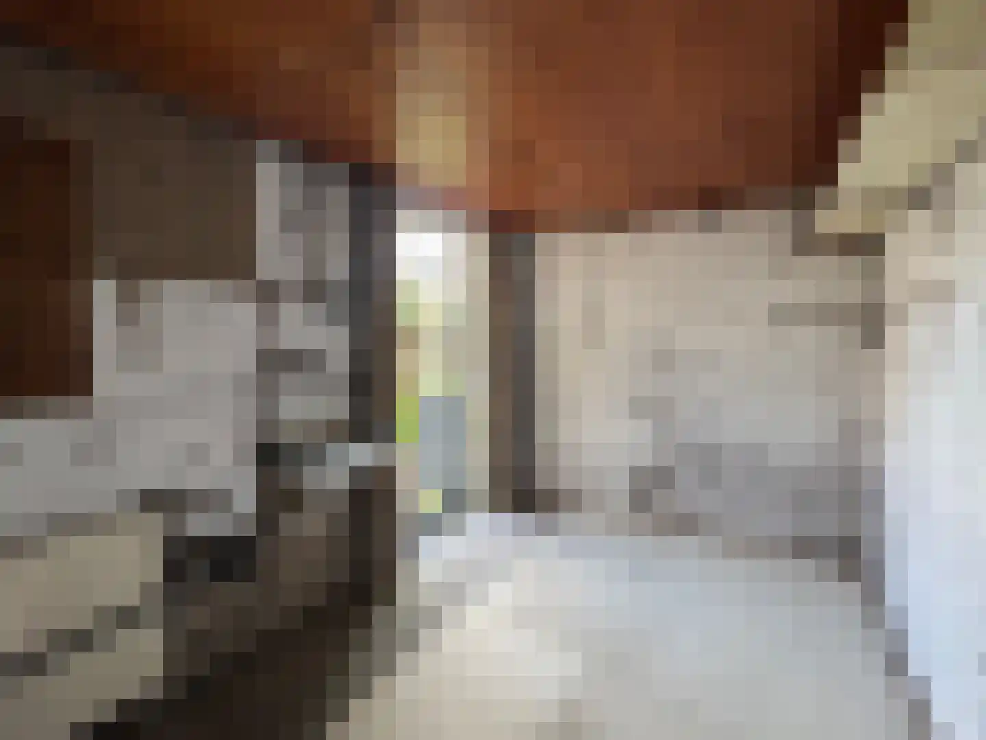Jalinkstraat 25 Wierden thumbnail 28