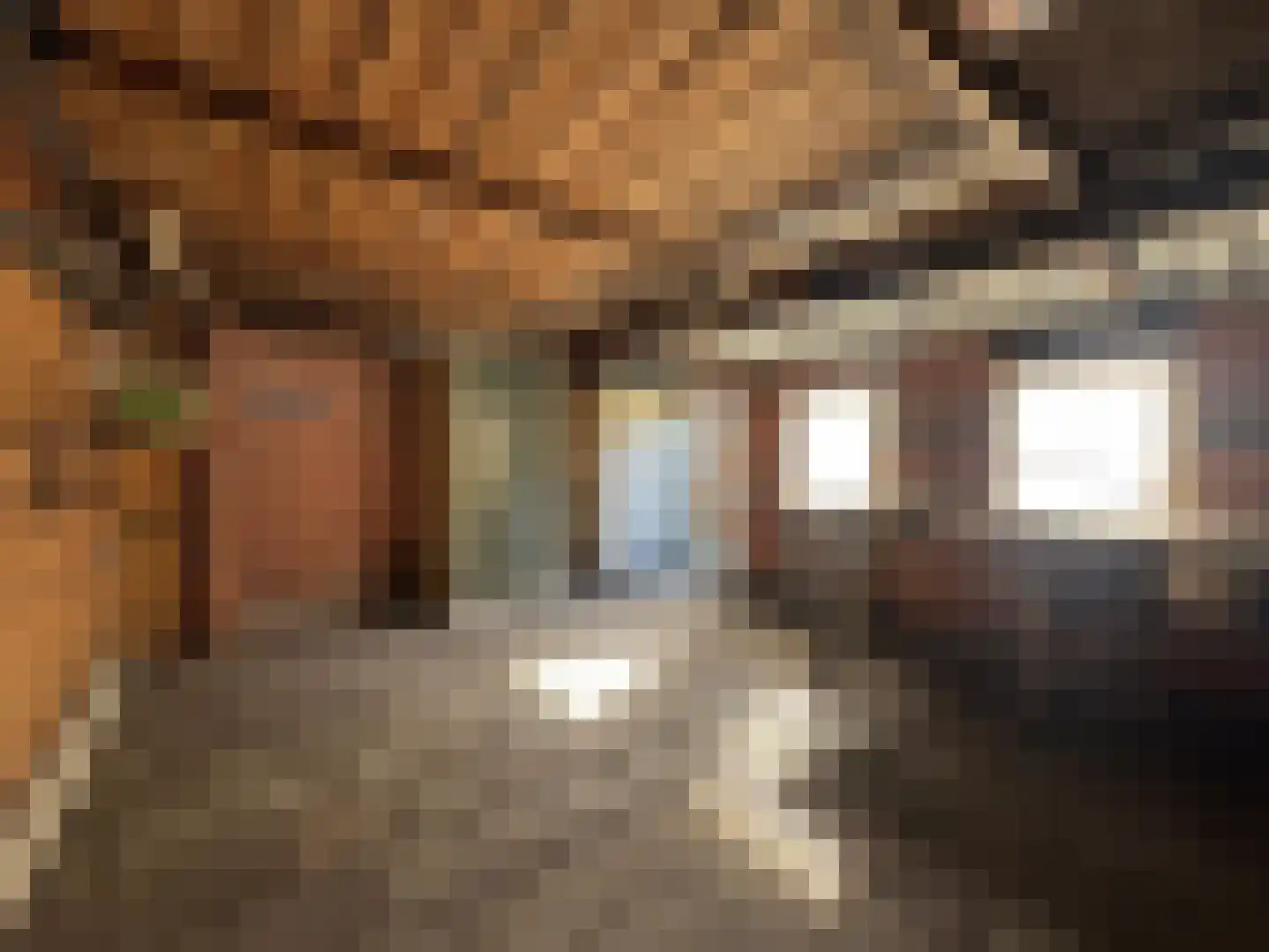 Jalinkstraat 25 Wierden thumbnail 30