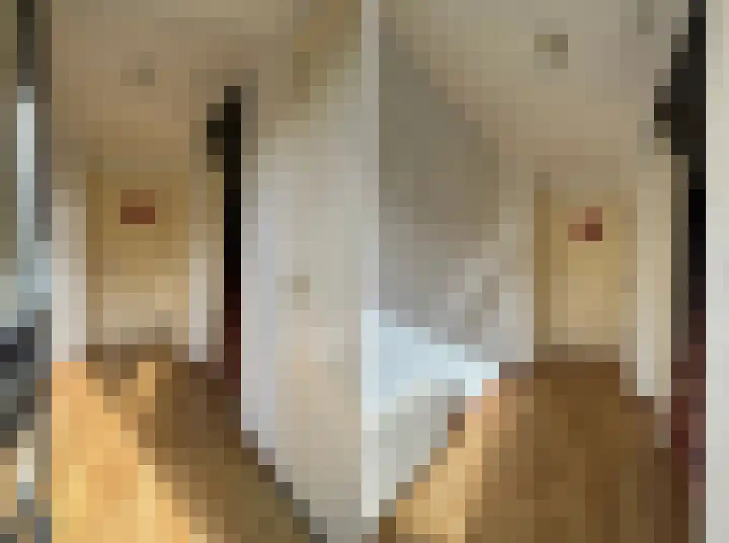 Jalinkstraat 25 Wierden thumbnail 8