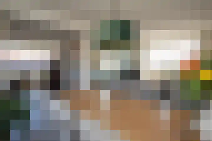 Jalinkstraat 29 Wierden thumbnail 11