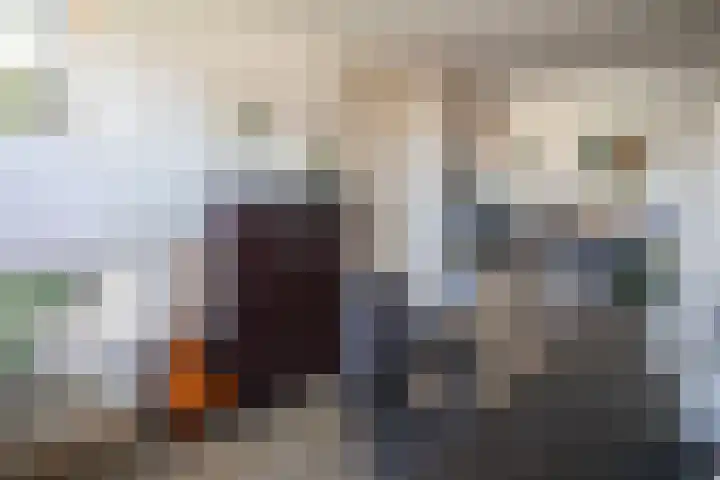 Jalinkstraat 29 Wierden thumbnail 15