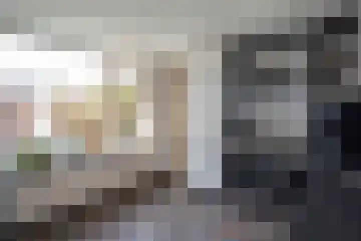 Jalinkstraat 29 Wierden thumbnail 21