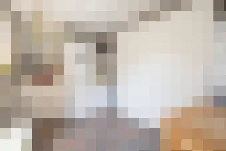 Jalinkstraat 29 Wierden thumbnail 23