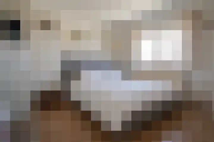 Jalinkstraat 29 Wierden thumbnail 27