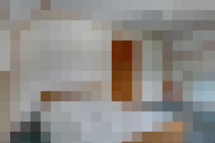 Jalinkstraat 29 Wierden thumbnail 31