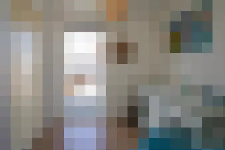 Jalinkstraat 29 Wierden thumbnail 31