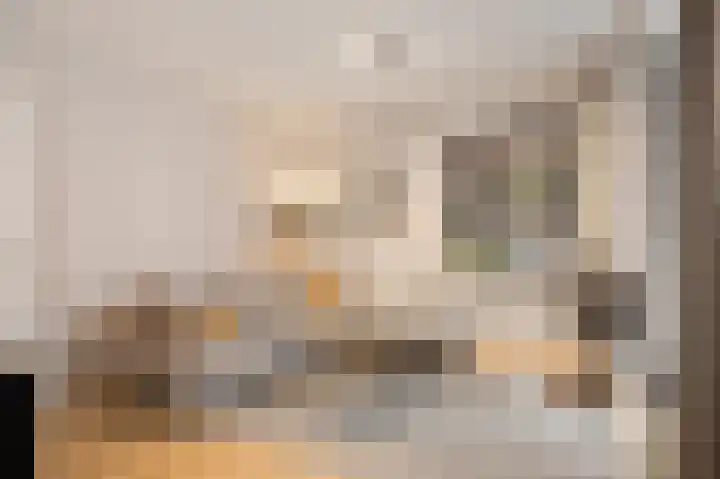 Jalinkstraat 29 Wierden thumbnail 33
