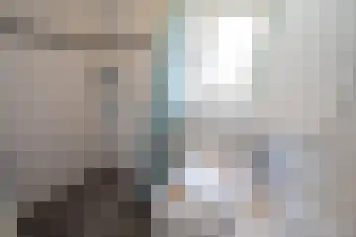 Jalinkstraat 29 Wierden thumbnail 33