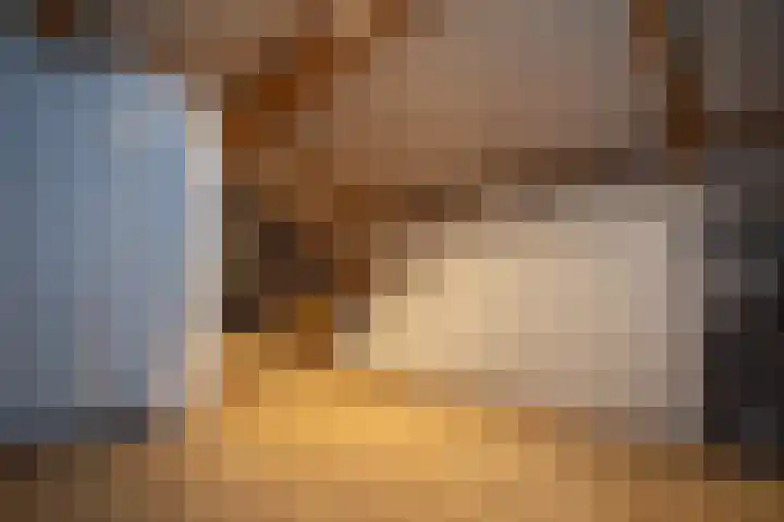 Jalinkstraat 29 Wierden thumbnail 36