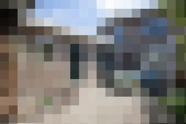 Jalinkstraat 29 Wierden thumbnail 39