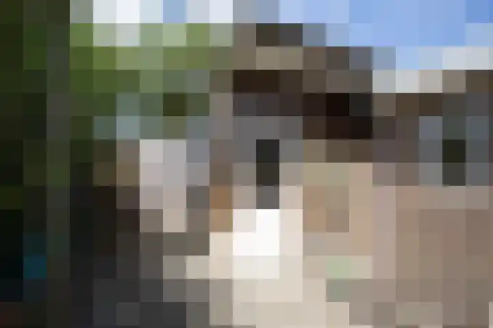 Jalinkstraat 29 Wierden thumbnail 40