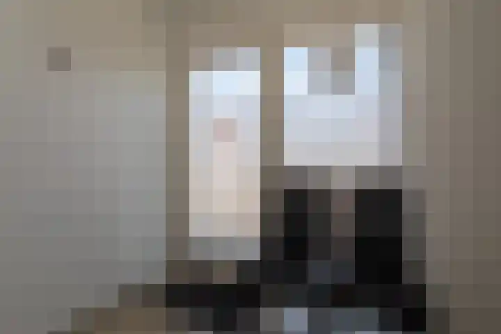 Jalinkstraat 29 Wierden thumbnail 43