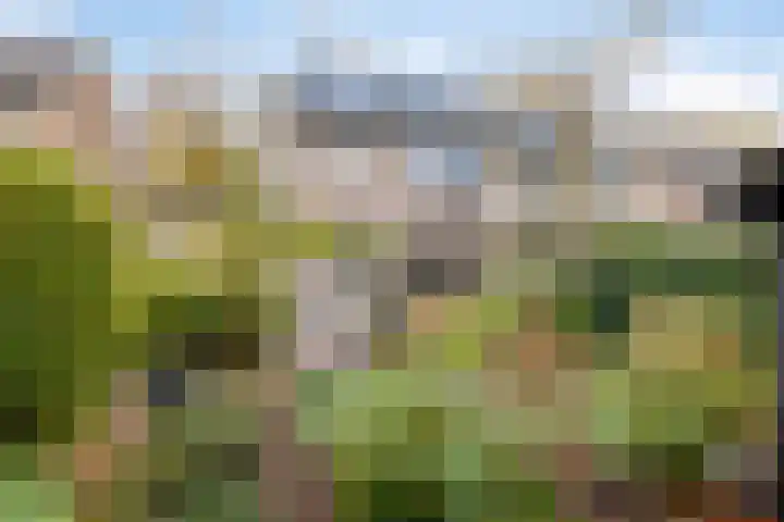 Jalinkstraat 29 Wierden thumbnail 47