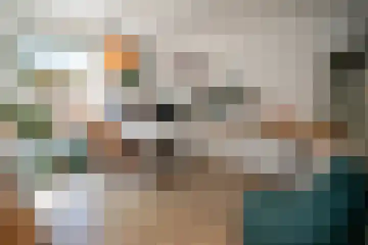 Jalinkstraat 29 Wierden thumbnail 47