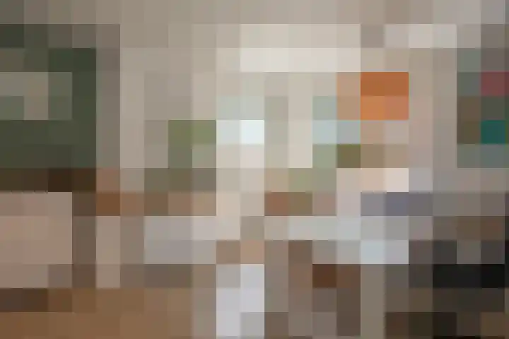 Jalinkstraat 29 Wierden thumbnail 48