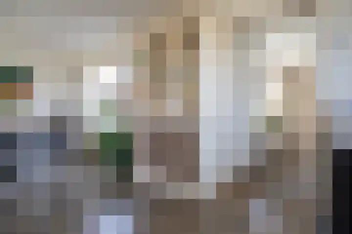 Jalinkstraat 29 Wierden thumbnail 9