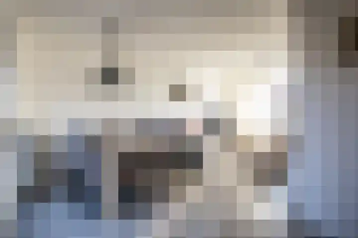 Jalinkstraat 37 Wierden thumbnail 10