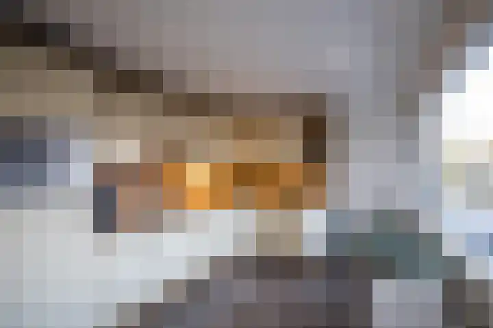 Jalinkstraat 37 Wierden thumbnail 15