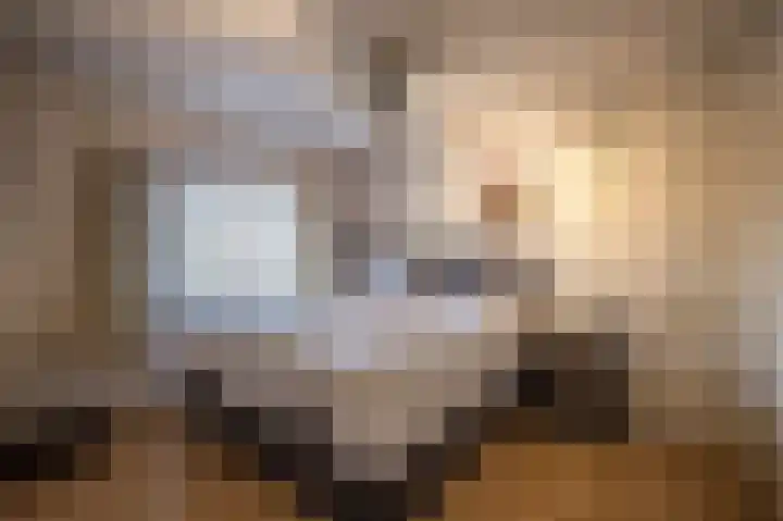 Jalinkstraat 37 Wierden thumbnail 18